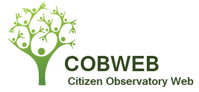 logo cobweb